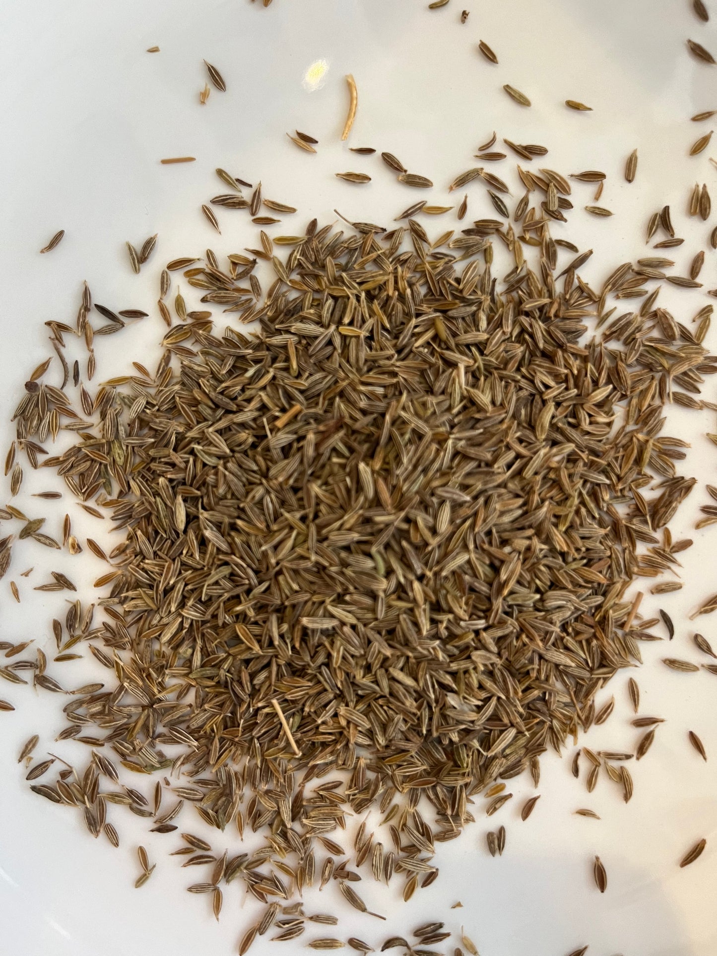 Cumin 10g