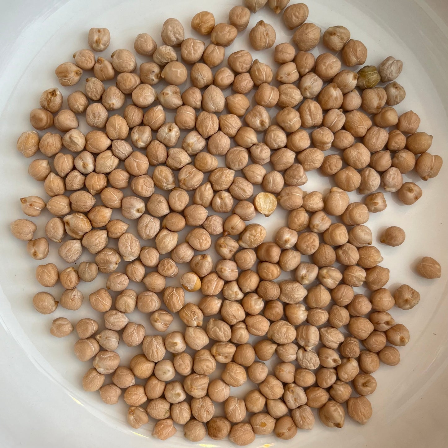 Chick Peas Organic 100g