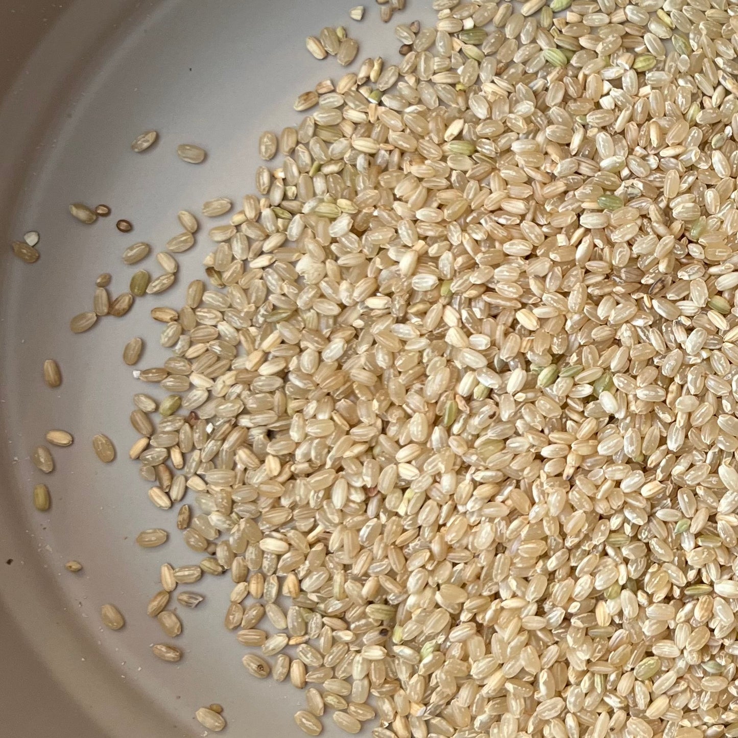 Brown Rice 100g