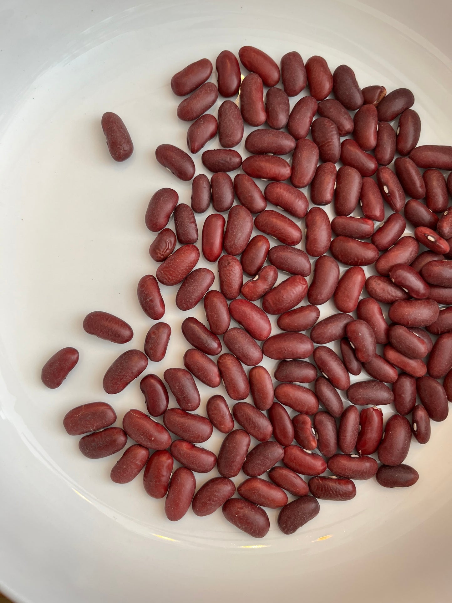 Kidney Beans 100g
