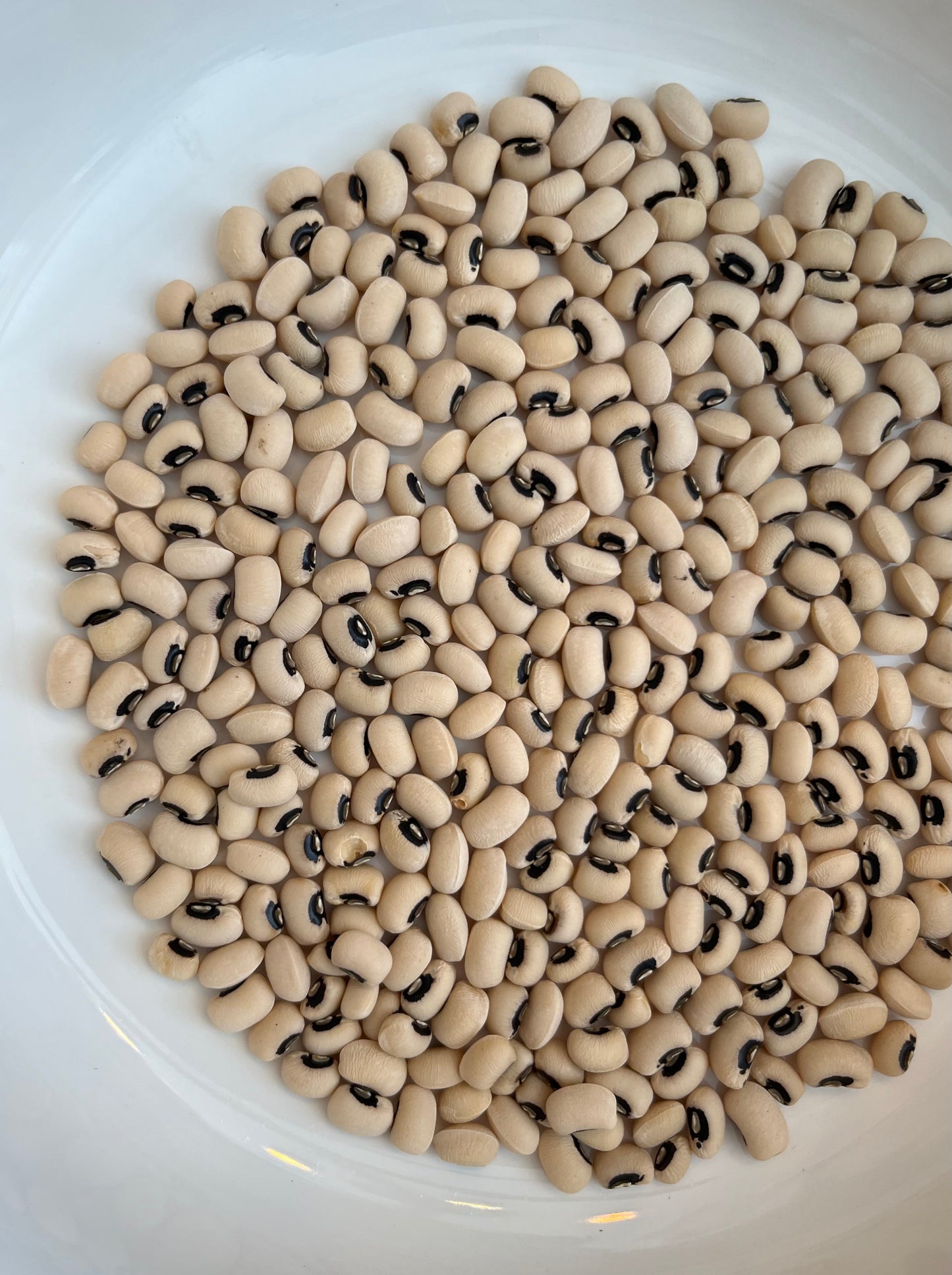 Black Eyed Beans 100g