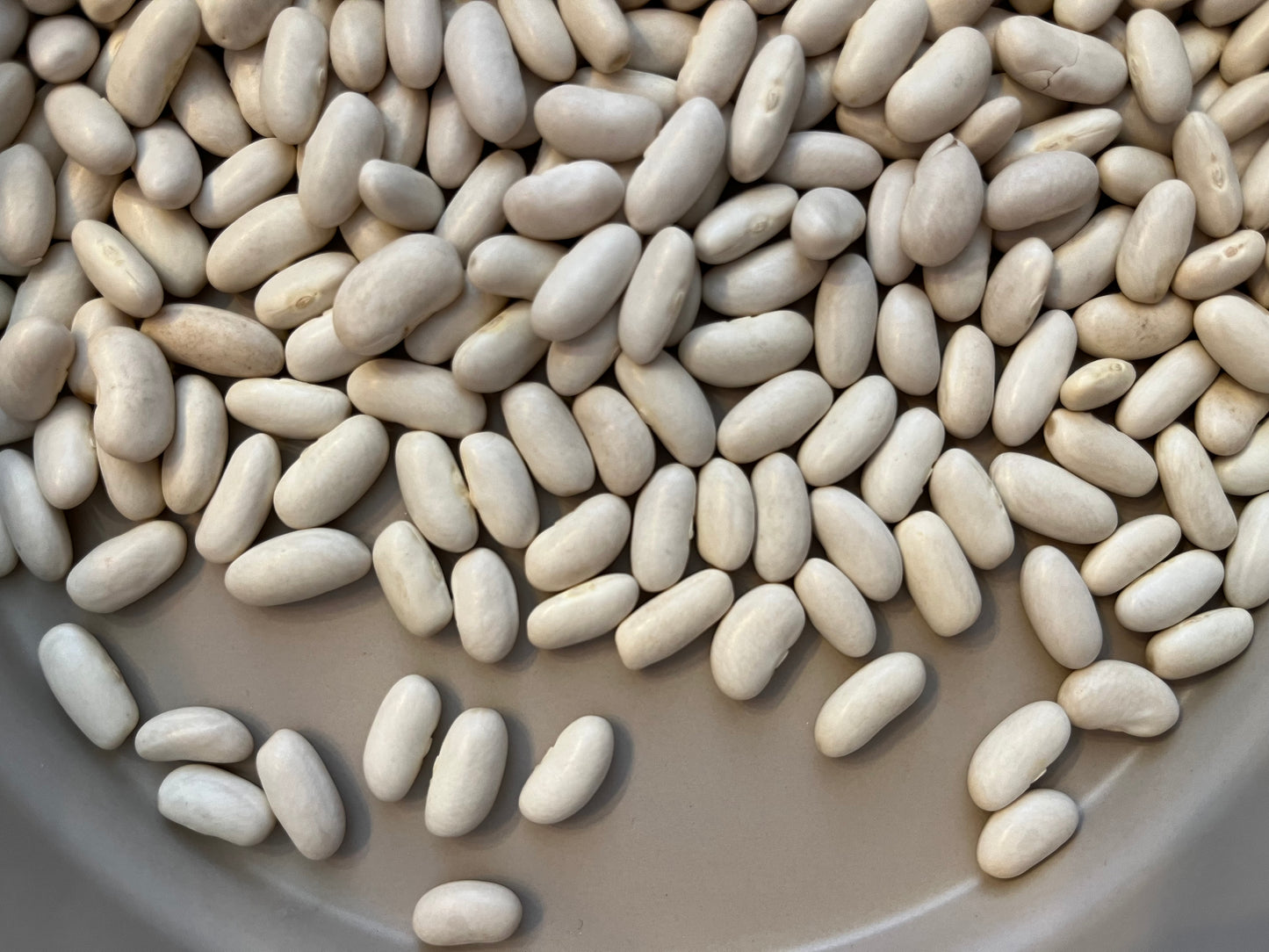Butter Beans 100g