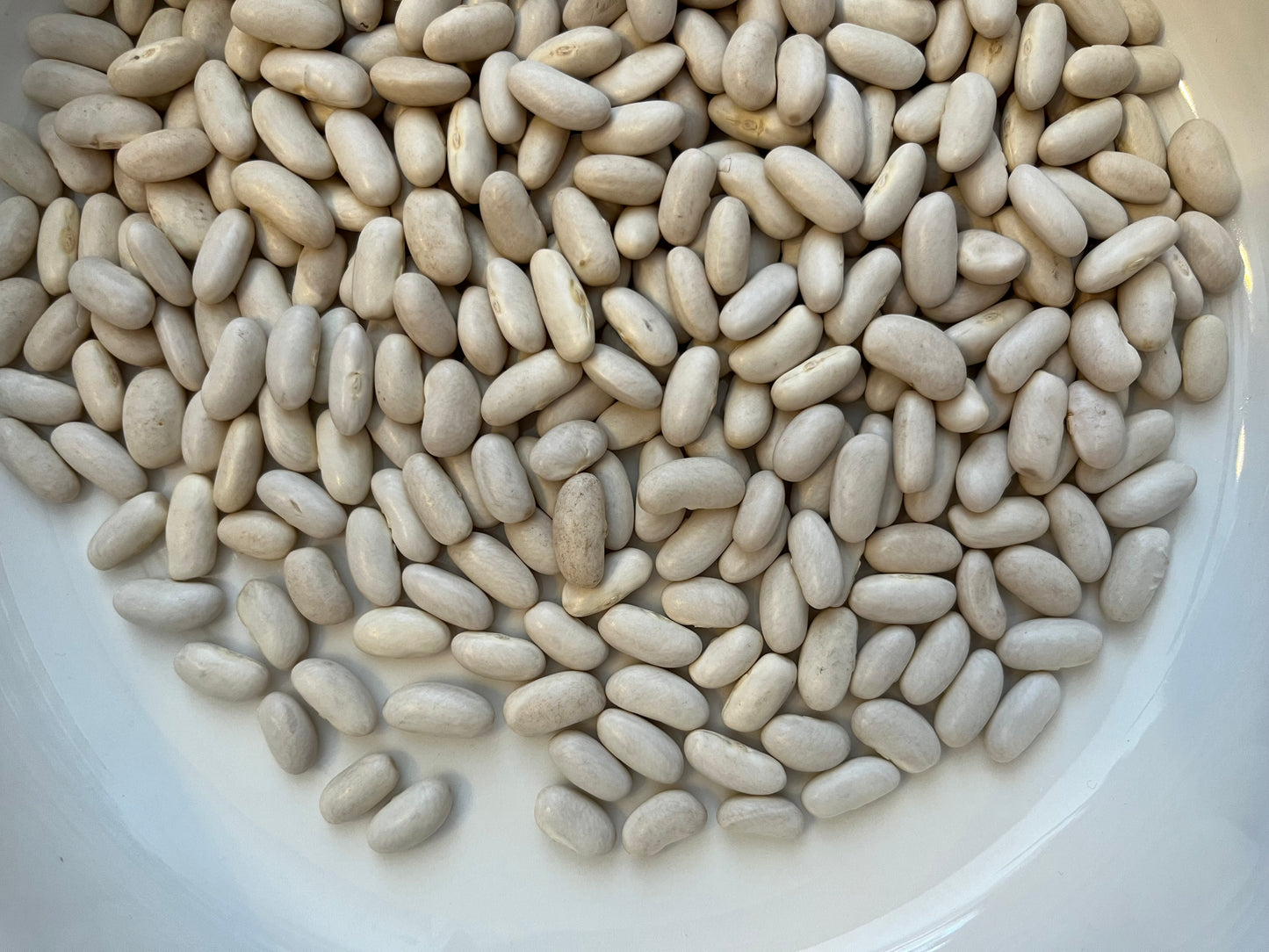 Canellini Beans 100g