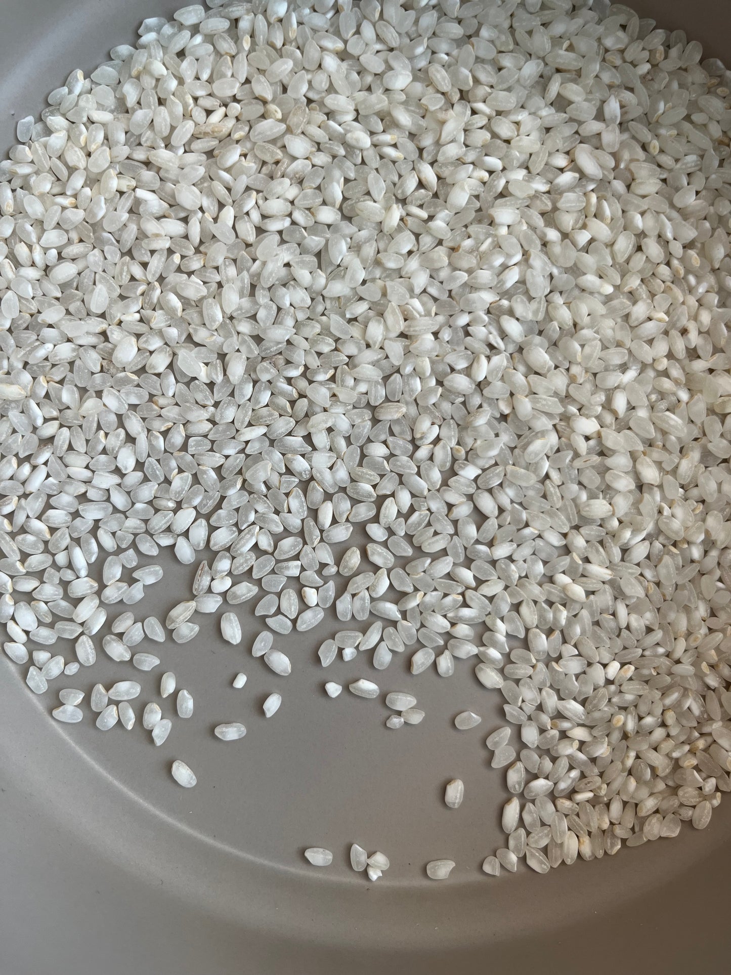 Pudding Rice 100g