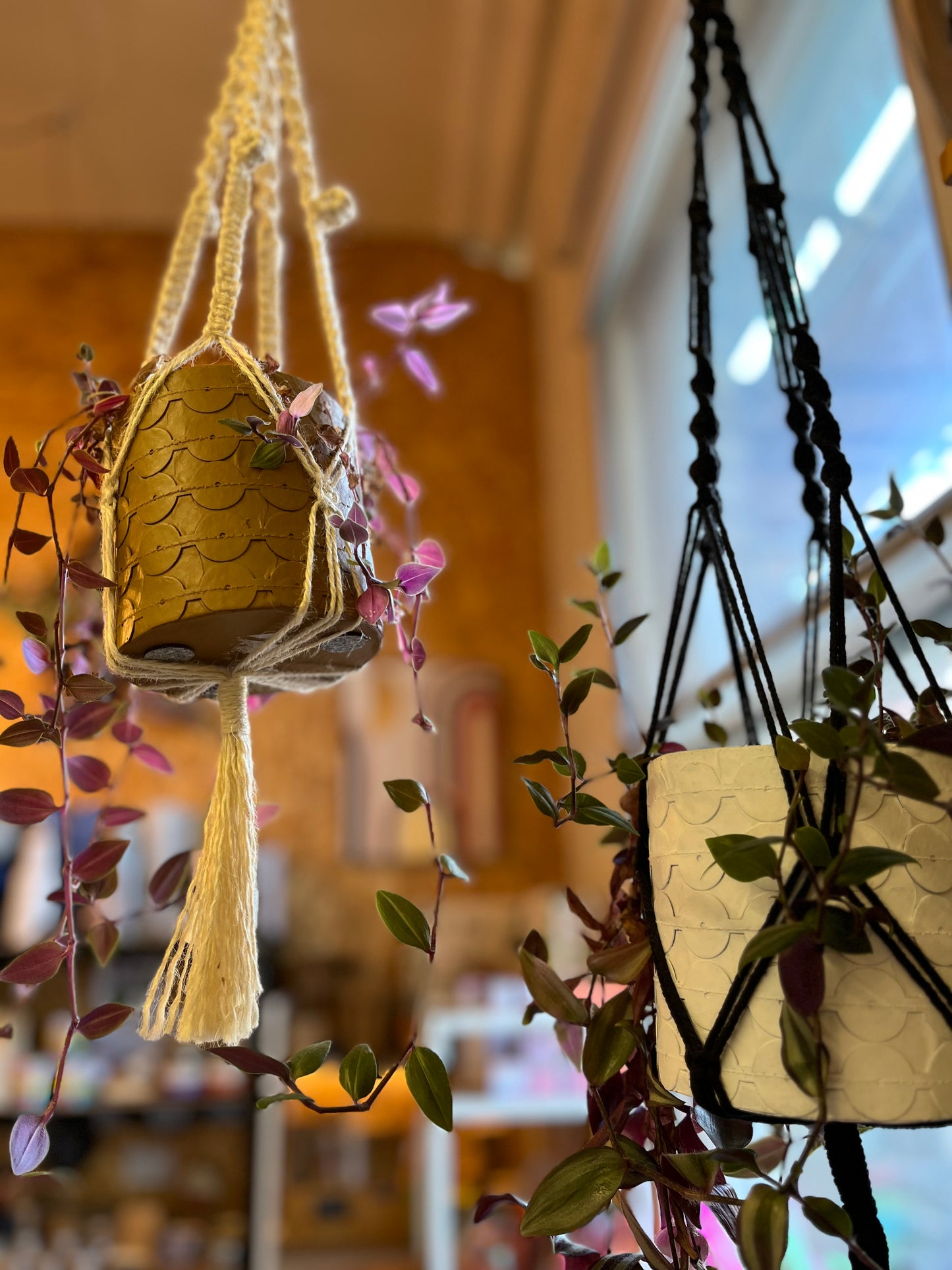 Macrame Plant Hanger