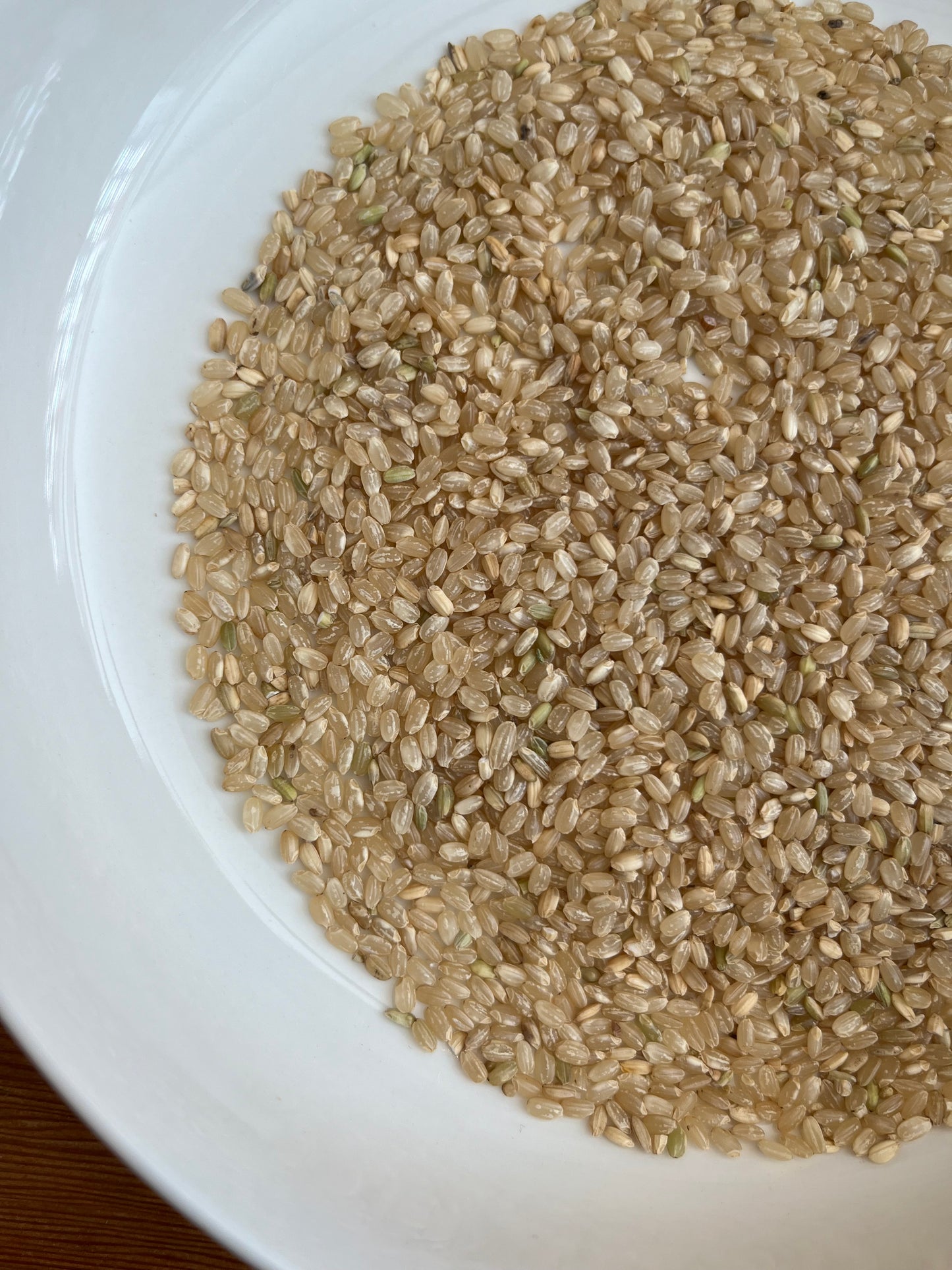 Brown Rice 100g