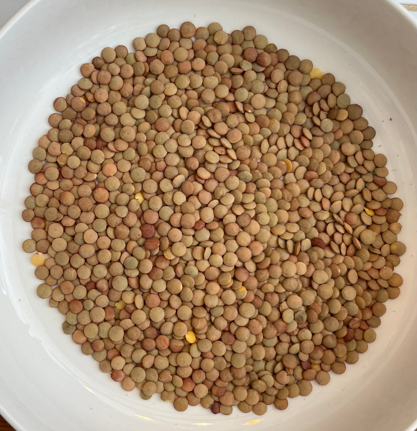 Green Lentils 100g