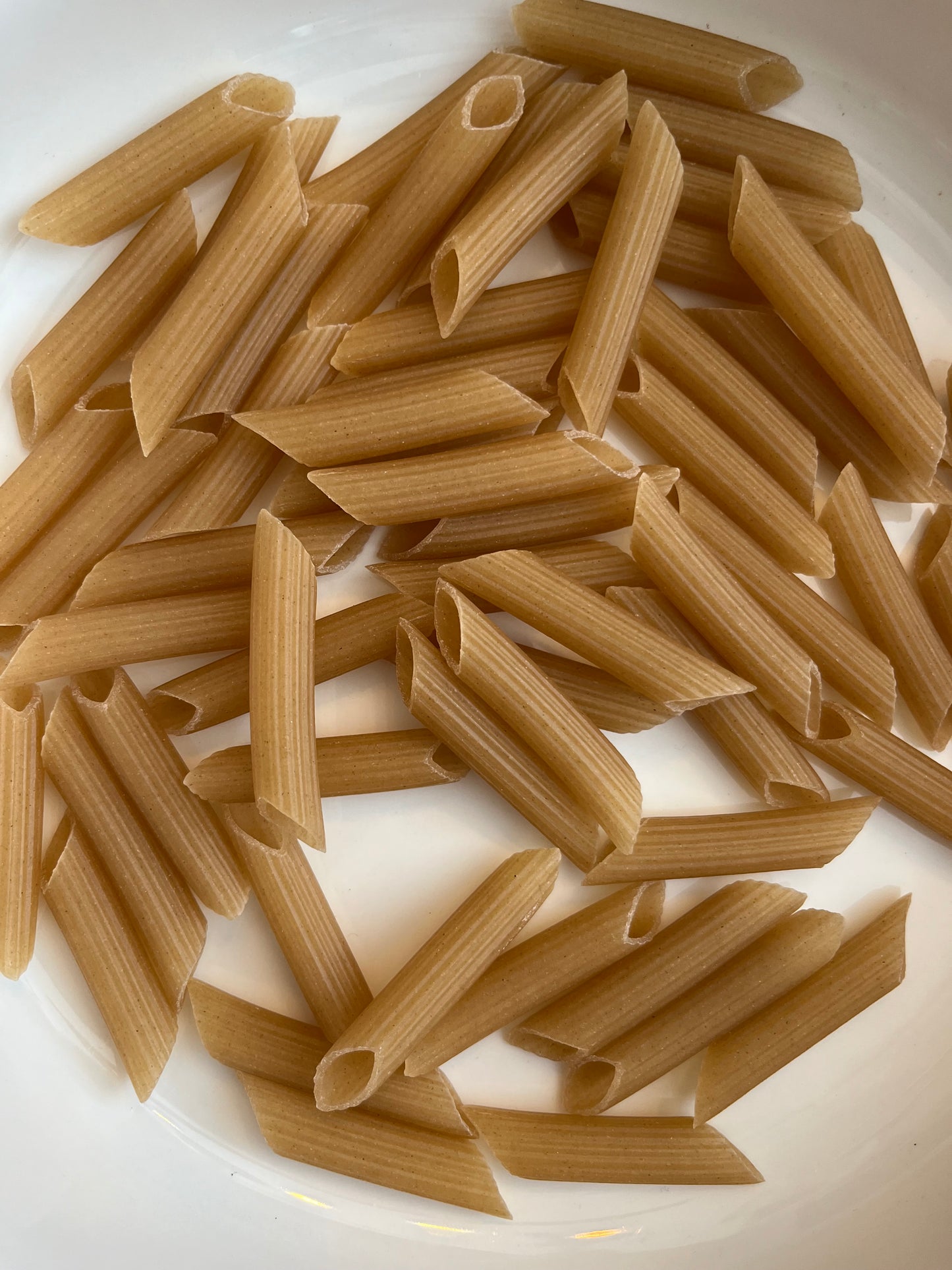 Gluten Free Penne Pasta 100g