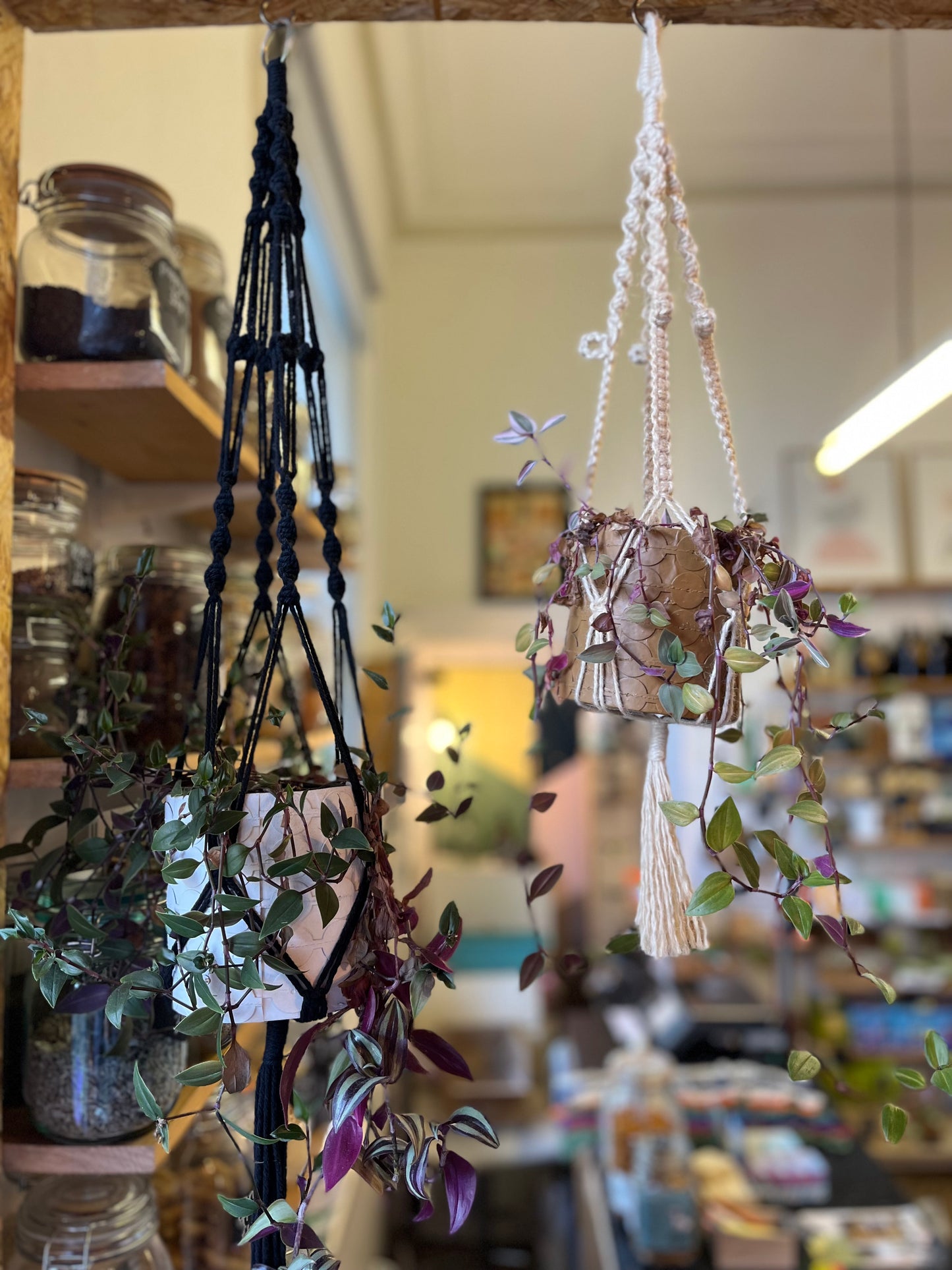 Macrame Plant Hanger