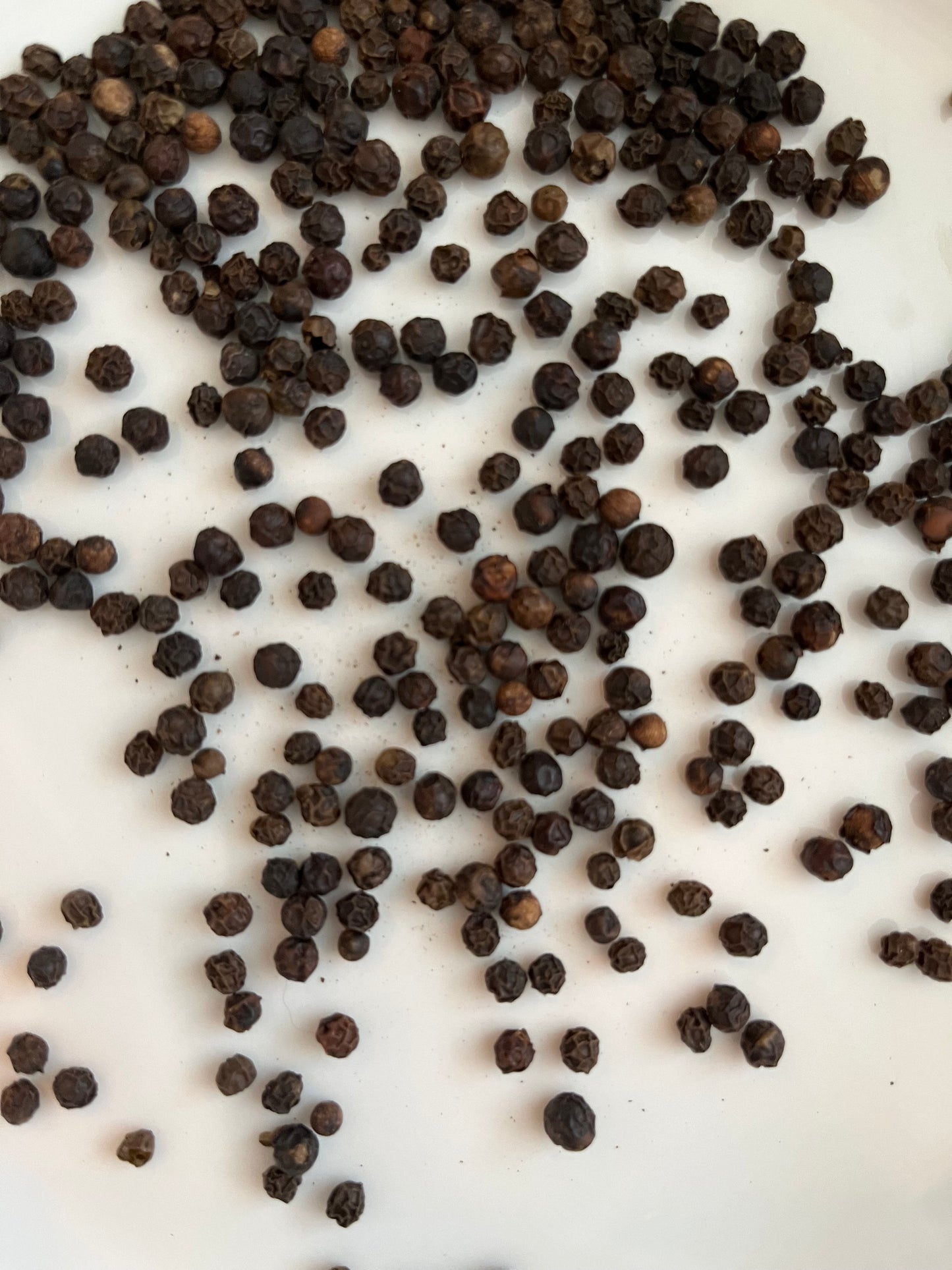 Pepper