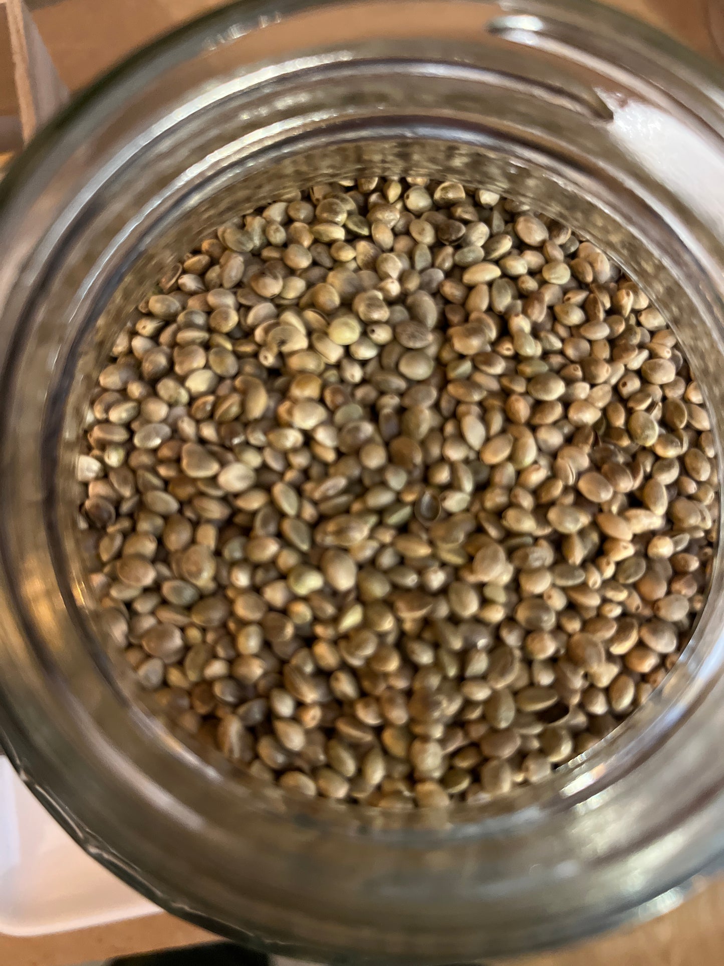 Hemp Seed organic 100g