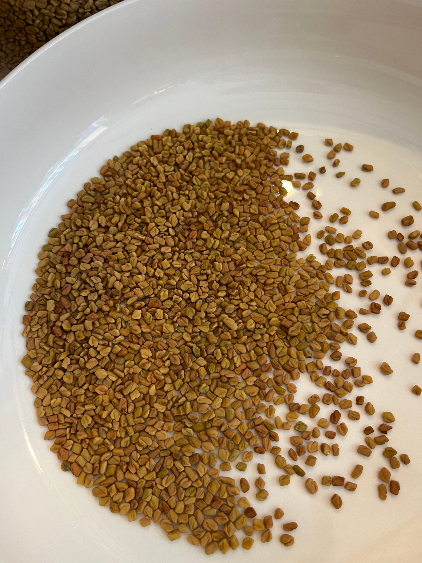 Fenugreek Seed 10g
