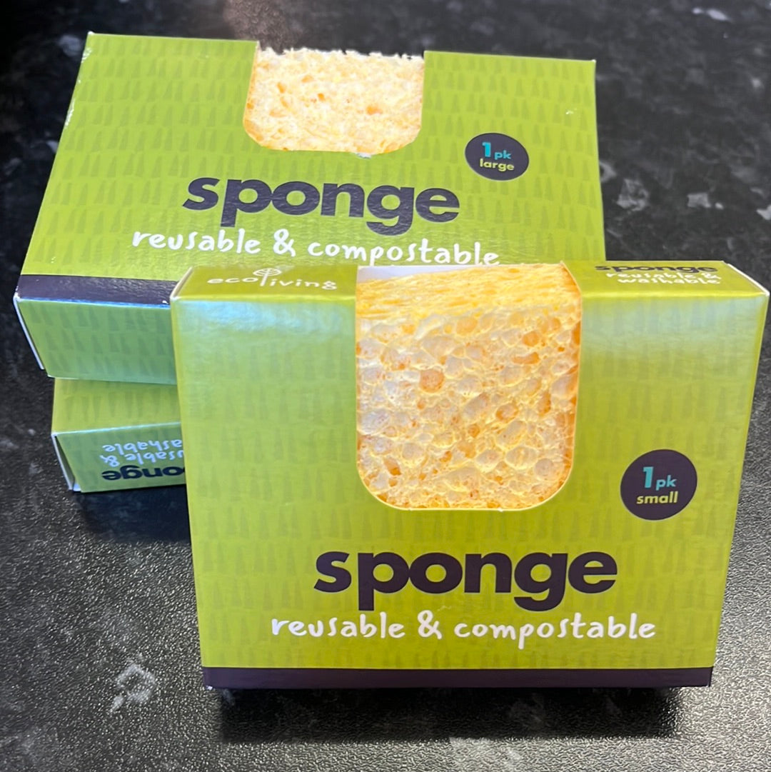 Compostable Sponge