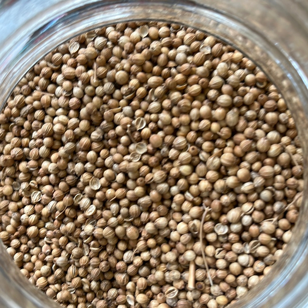 Coriander 10g