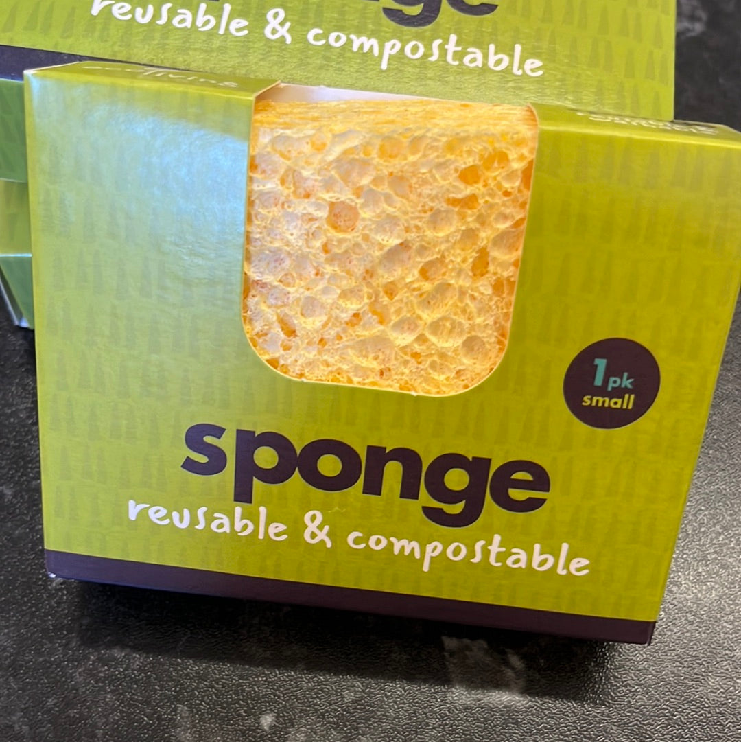 Compostable Sponge