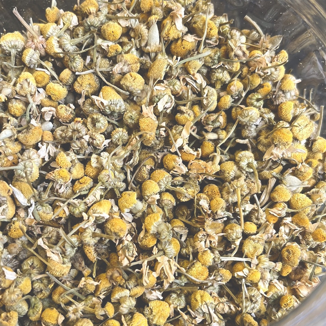 Chamomile Organic Loose Tea 10g