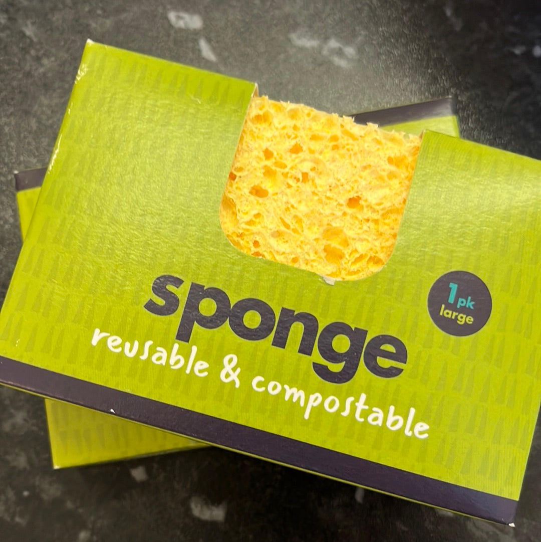 Compostable Sponge