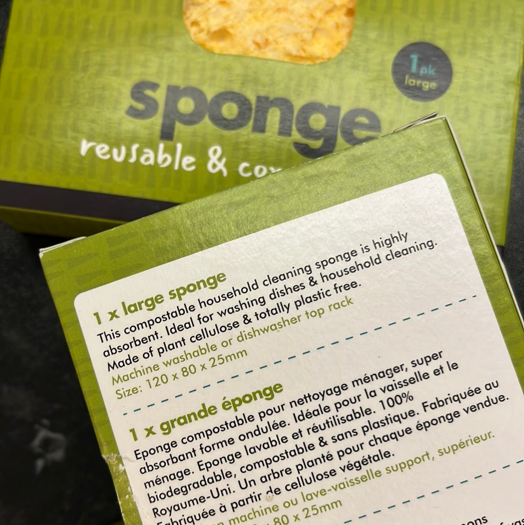 Compostable Sponge