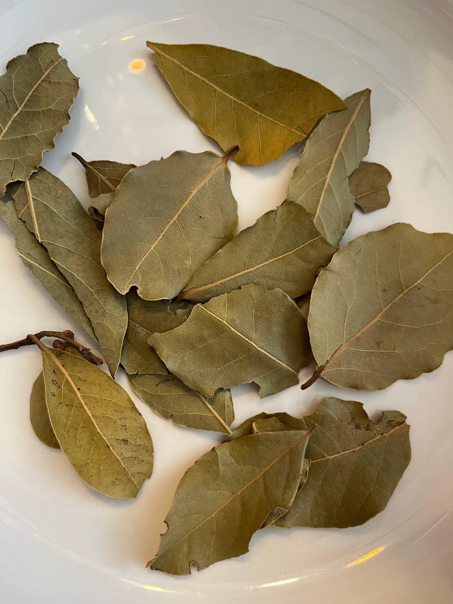 Bay Leaves x 10
