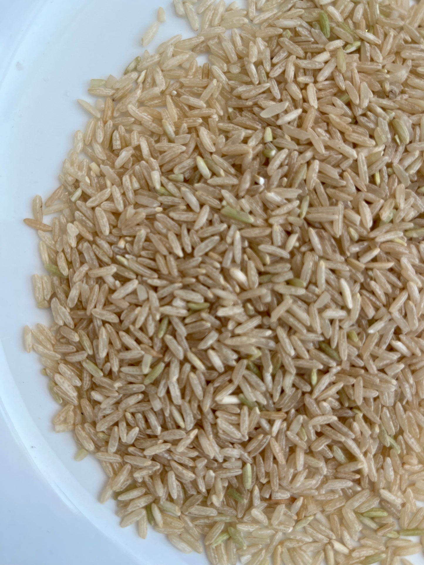 Brown Rice 100g