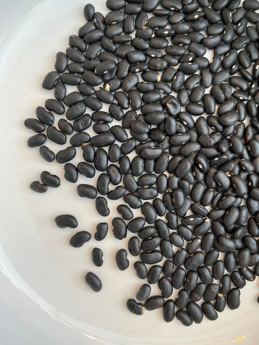 Black Beans Organic 100g
