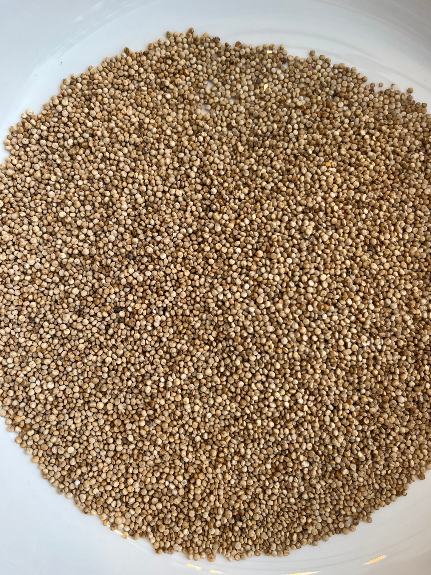 Quinoa 100g