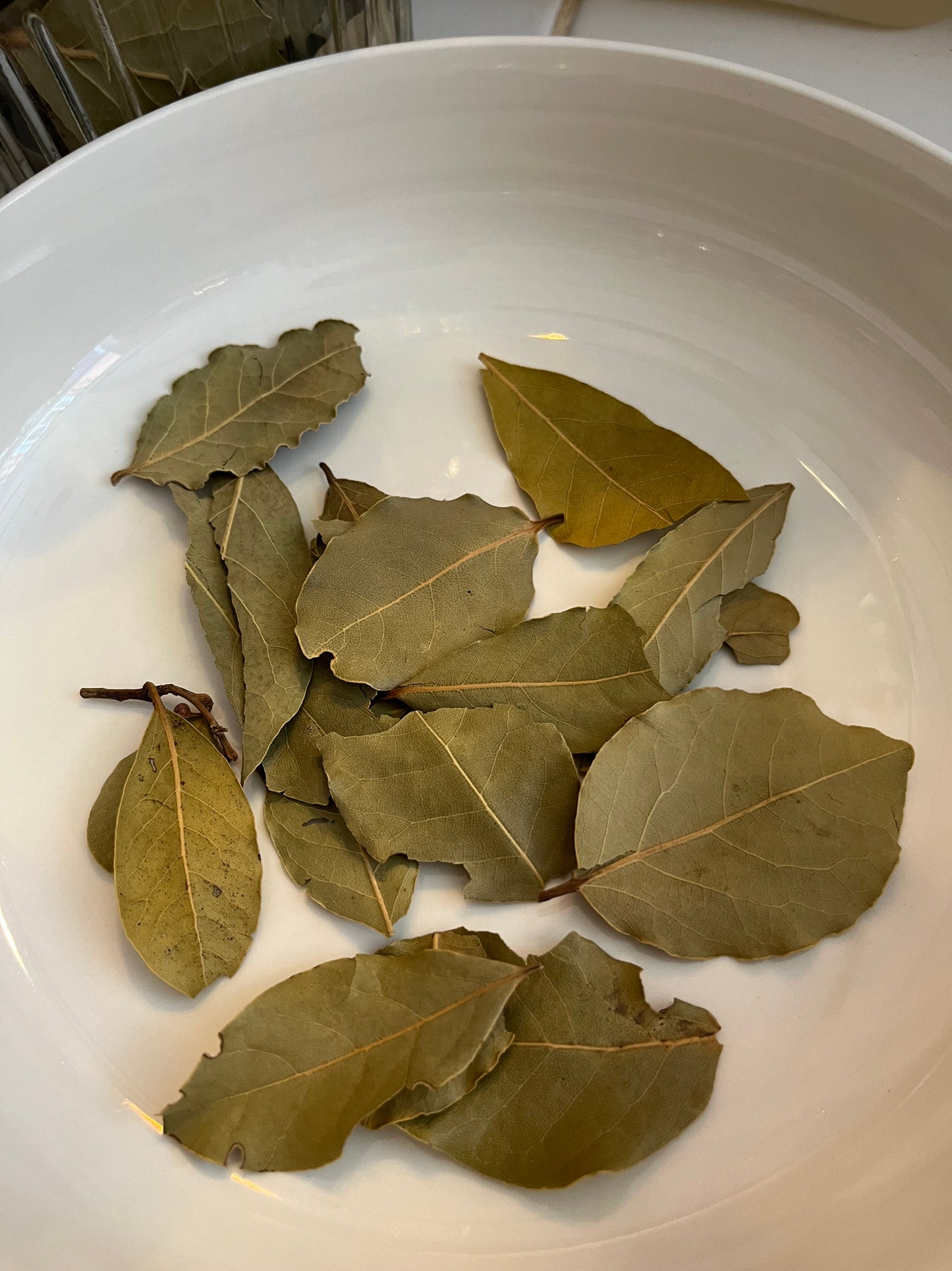 Bay Leaves x 10