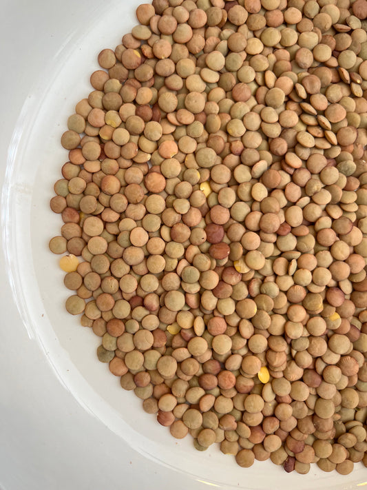 Green Lentils 100g