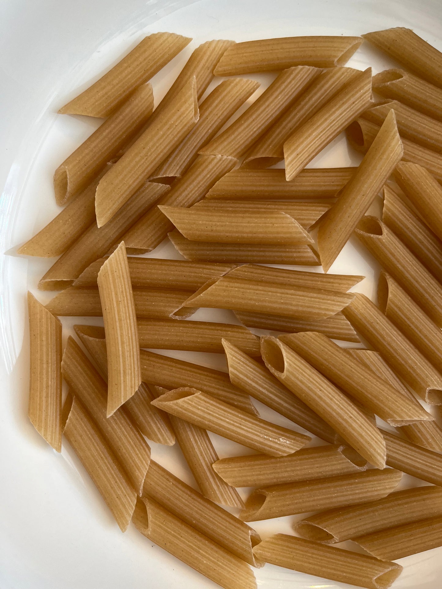 Gluten Free Penne Pasta 100g
