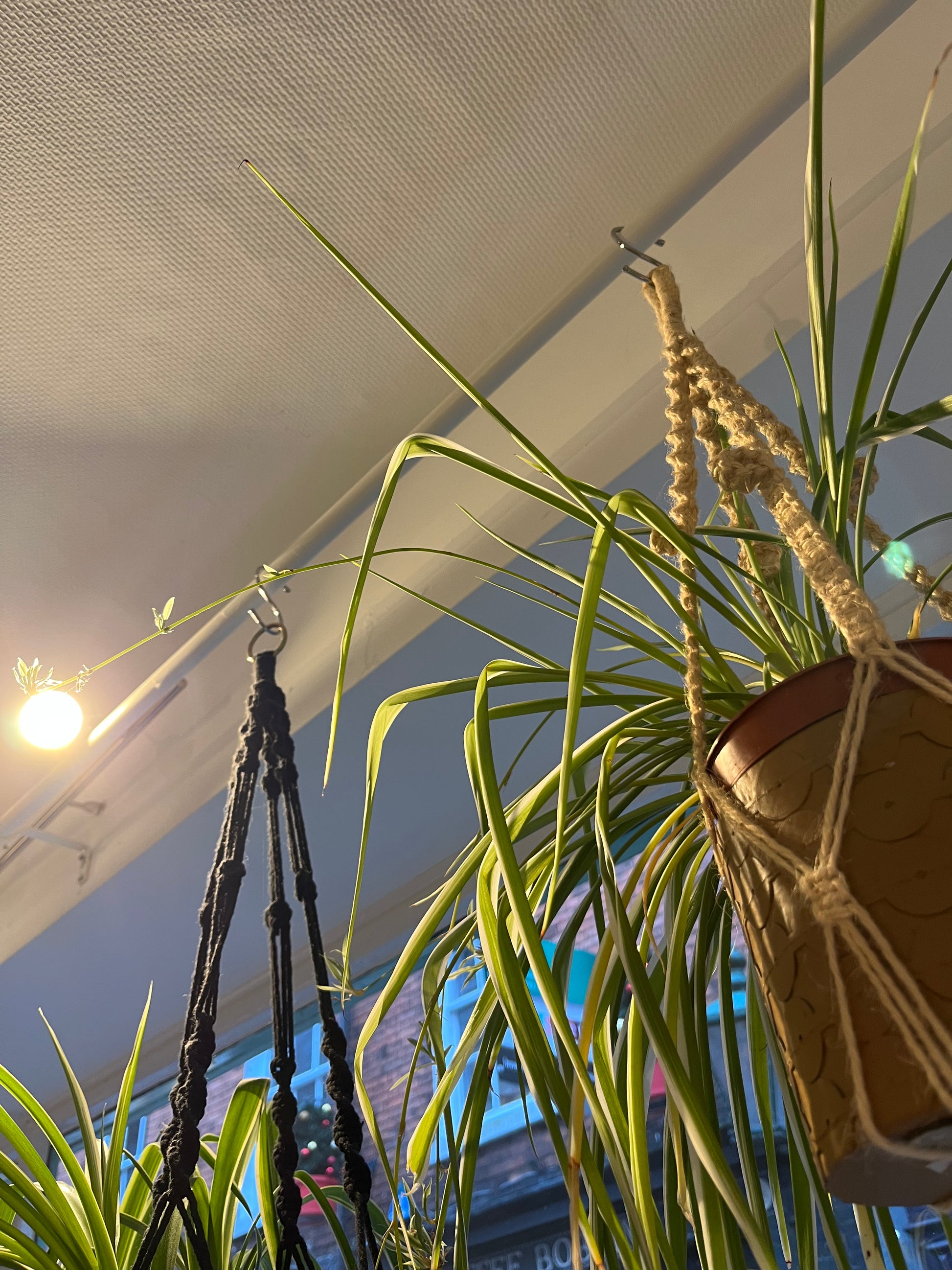 Two macrame plant holders are suspended from a rail by silver S hooks.
